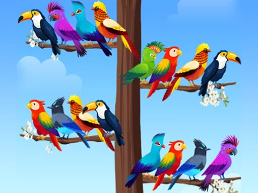 Bird Sort Puzzles - Free Unblocked Game