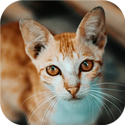 Cat-tastic Puzzle Challenge - Free Unblocked Game