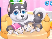 Cute Puppy Pregnant - Free Unblocked Game