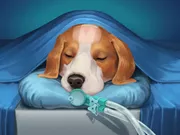 Dog Hospital - Free Unblocked Game