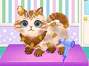 Funny Pet Haircut - Free Unblocked Game