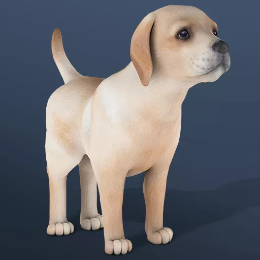 IDLE Pet - Free Unblocked Game