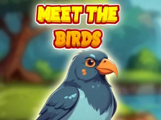 Meet The Birds - Free Unblocked Game