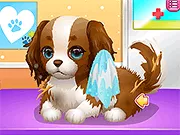 Puppy Whisperer - Free Unblocked Game
