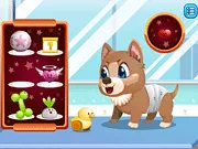 Stray Dog Care - Free Unblocked Game