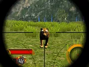 Wildlife Hunters Fury - Free Unblocked Game